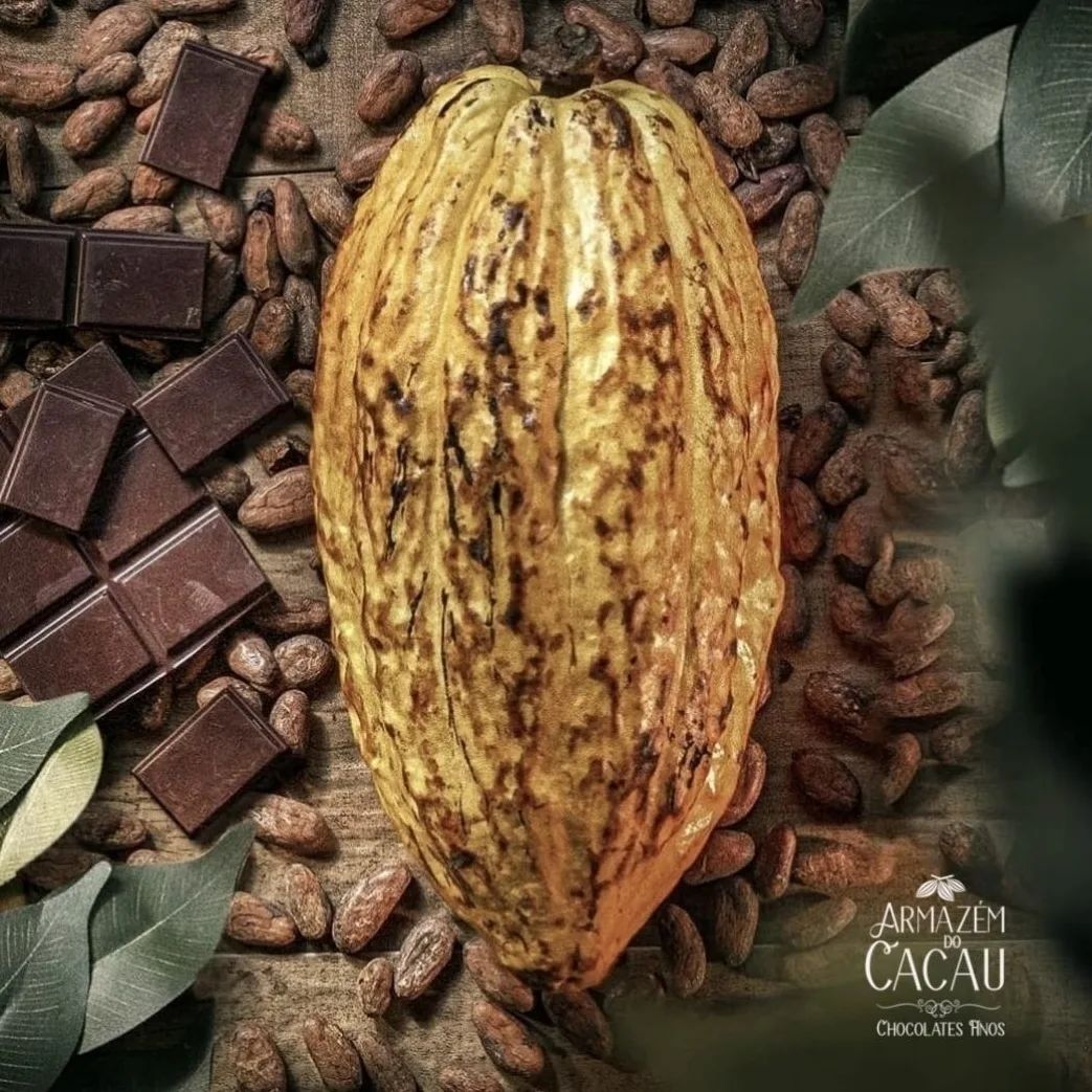 Celebre o Dia do Cacau - Fonte de Criação do Chocolate e Benéfico à Saúde - Armazém do Cacau